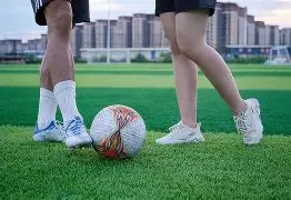 大乐透期号,专家推荐,精选质合分,平博体育官网,APP下载,注册领彩金,官方网站,网站入口