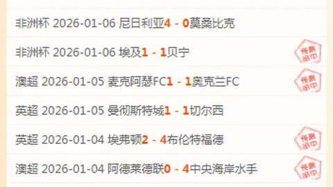 “切尔西球迷心中谁被誉为‘灵魂宝贝’？”